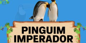 pinguim imperador