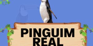 pinguim real