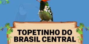 topetinho do brasil central