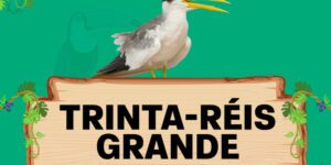 trinta reis grande