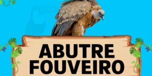 abutre fouveiro