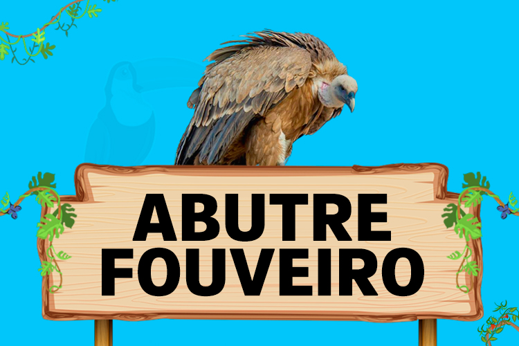 abutre fouveiro