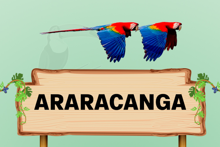 araracanga