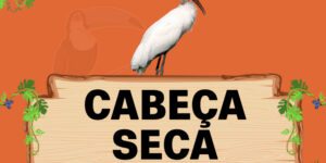 cabeça seca