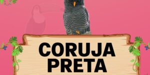 coruja preta