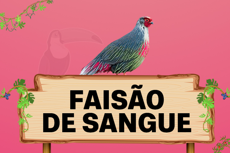 faisao de sangue