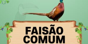 faisao comum