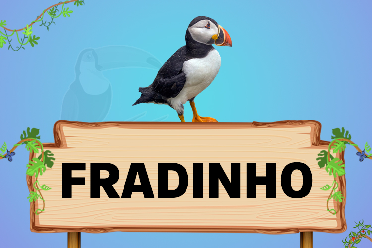 fradinho