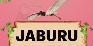 jaburu