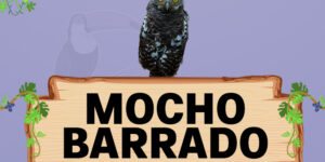 mocho barrado