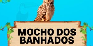 mocho dos banhados