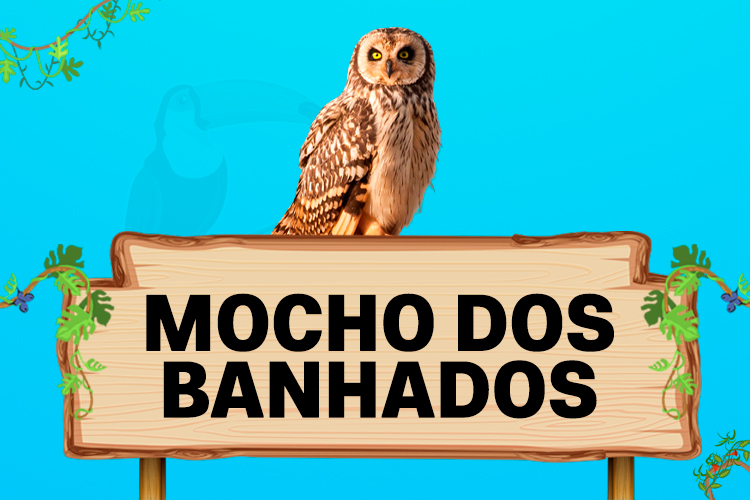 mocho dos banhados