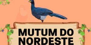 mutum do nordeste