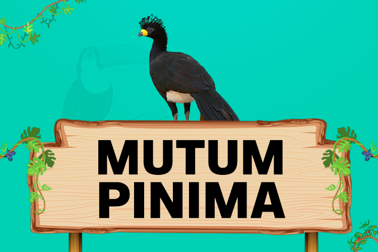 mutum pinima