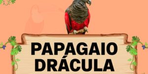 papagaio dracula