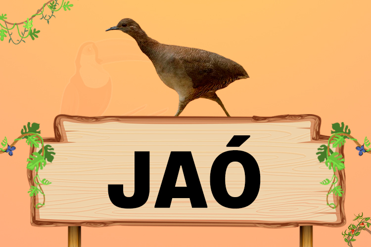 jao