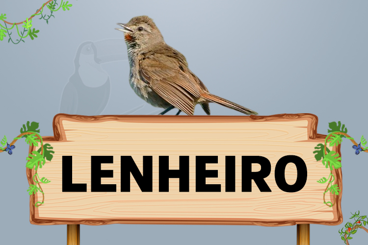 lenheiro