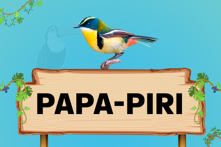 papa piri