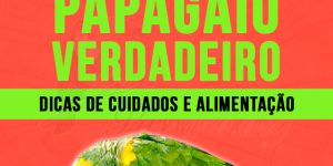 Como criar Papagaio-verdadeiro