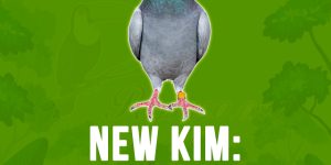 New kim Pombo correio