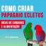 como criar papagaio ecletus
