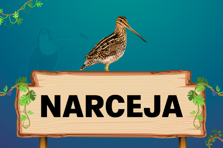 narceja