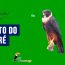 Canto do caure