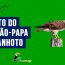 Canto do gaviao-papa-gafanhoto