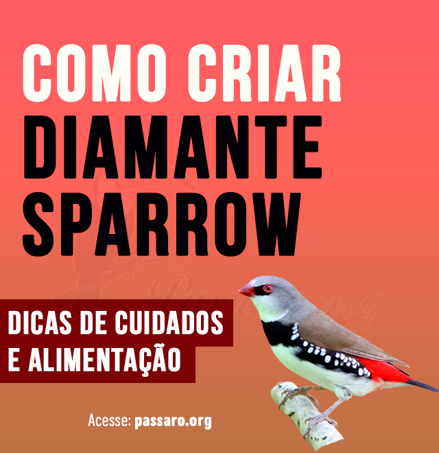 como criar diamante sparrow