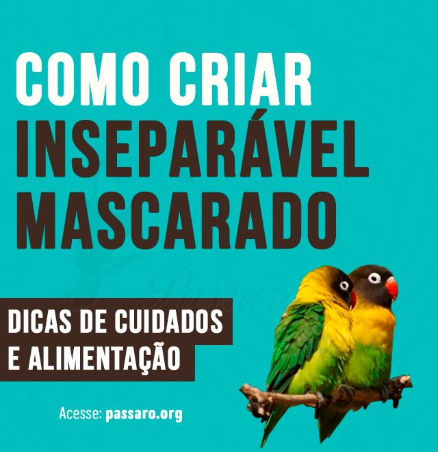 como criar inseparavel mascarado