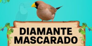 diamante mascarado