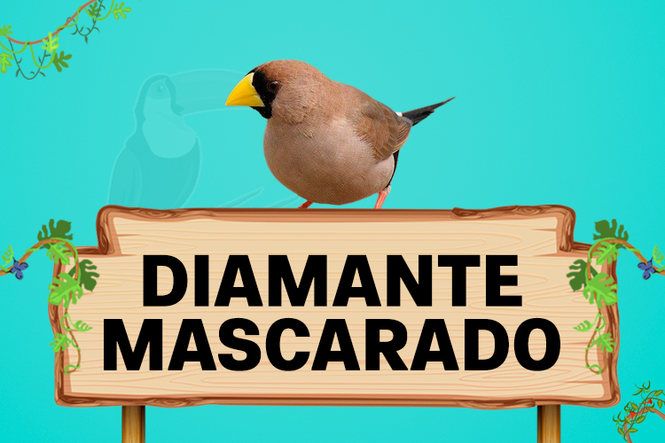 diamante mascarado