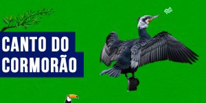 Canto do cormorao 