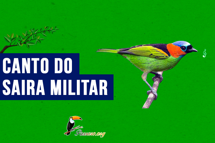 canto do saira militar