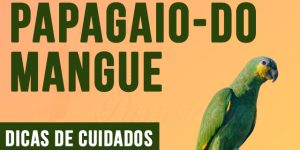 como criar papagaio-do-mangue