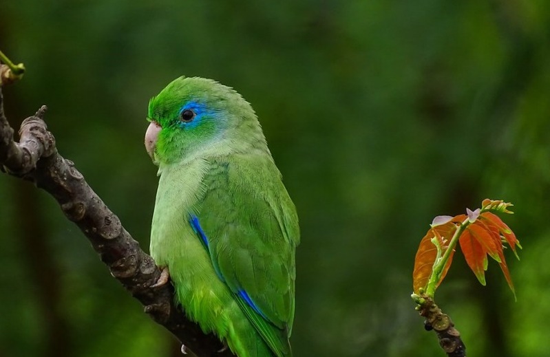 tuim-da-colombia