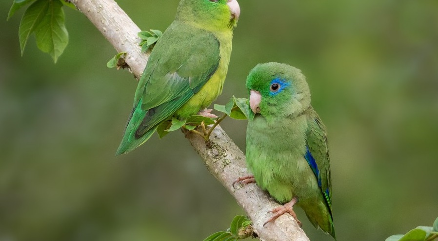 tuim-da-colombia