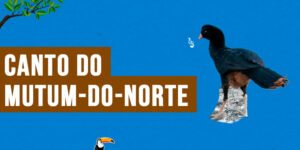 Canto do mutum-do-norte