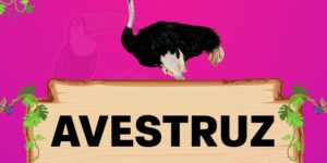 avestruz