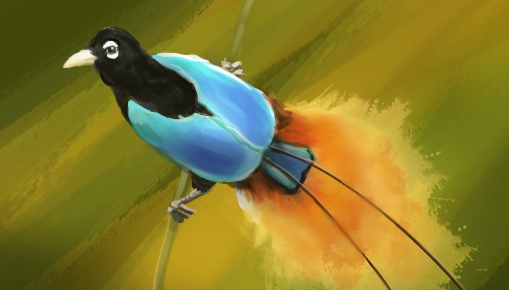 características da ave-do-paraíso-azul