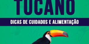 como criar tucano