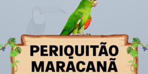 periquitao maracana