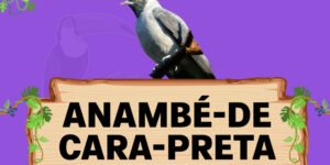 Anambé-de-cara-preta