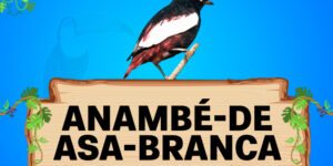 anambé de casa branca