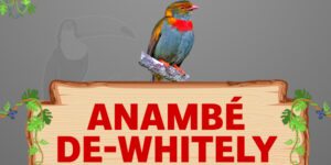 anambé de whitely