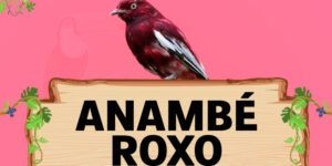 anambé roxo