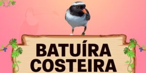 batuíra costeira