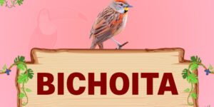 bichoita