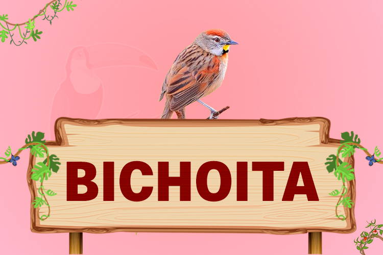 bichoita