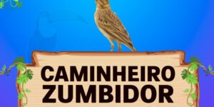 caminhoneiro zumbidor